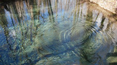 Ormandaki güzel gölet 
