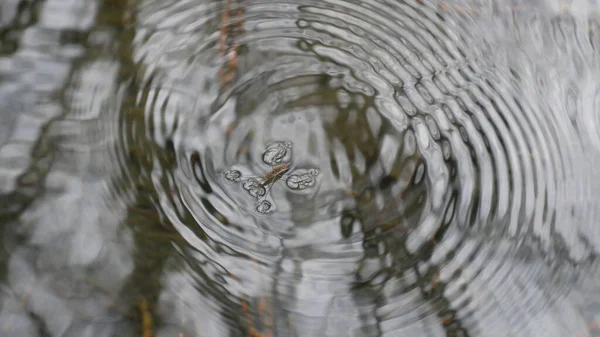 Ένας Υδροσυλλέκτης Κάνει Κύκλους Στο Νερό — Φωτογραφία Αρχείου