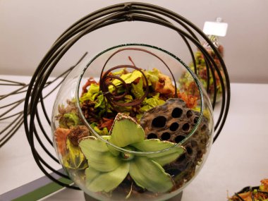 Çiçeklerin güzel görünüşü