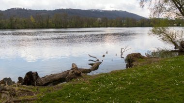 Ağaçlar ve nehirlerle dolu güzel bir manzara.