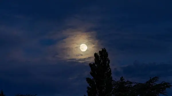 Луна Над Деревьями — стоковое фото