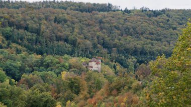 sonbahar orman manzarası