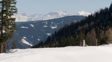 Karla kaplı ağaçlarla kaplı kış manzarası