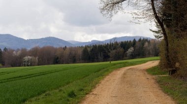 Dağlarda yolu olan güzel bir manzara.