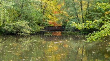 Nehirli sonbahar manzarası, ön planda ağaçlar.