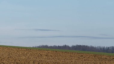  Gökyüzü arkaplanı olan bir alan