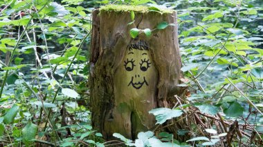 Üzerinde yüz olan bir ağaç kütüğü.