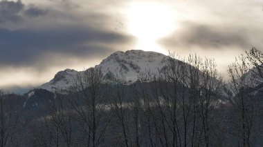 Karlı güzel bir manzara.
