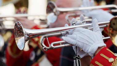 Trompetçiye yakın çekim