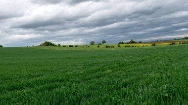 Doğanın güzel manzarası