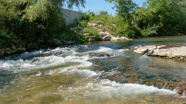 Ormanda güzel bir nehir. yüksek kaliteli fotoğraf