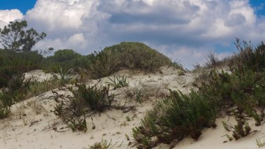 Doğanın güzel manzarası