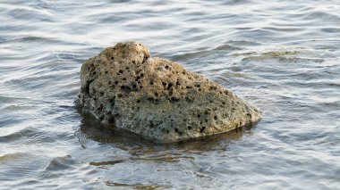 sahilde deniz taşı