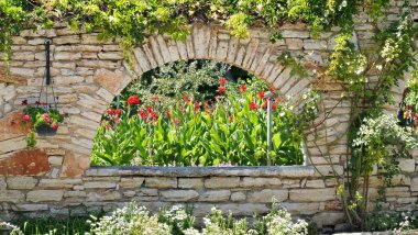 Bahçedeki güzel çiçekler