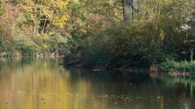 Nehir ve ağaçlarla dolu güzel sonbahar manzarası