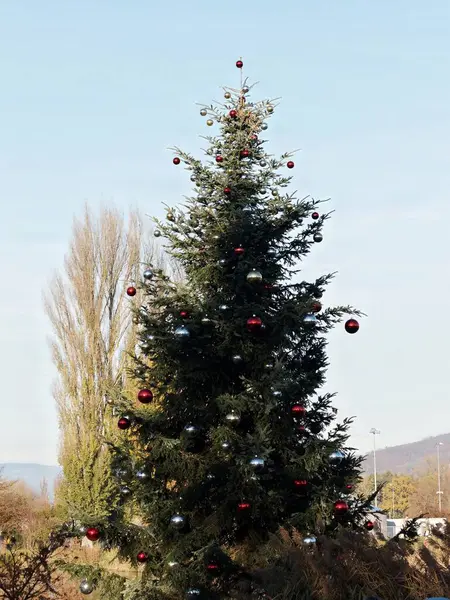 Toplarla süslenmiş ağaç