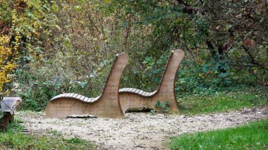 Ormanda ahşap bir bank