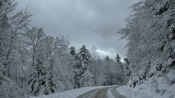 Karlı Orman Yolu Bulutlu Gökyüzü Altında Buz Gibi Kış Arazisi