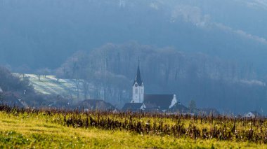 Açık bir günde Kilise ve Puslu Ormanlı Manzaralı Köy
