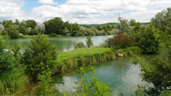 Bereketli Yeşil Çevreli Serene Gölü Manzarası