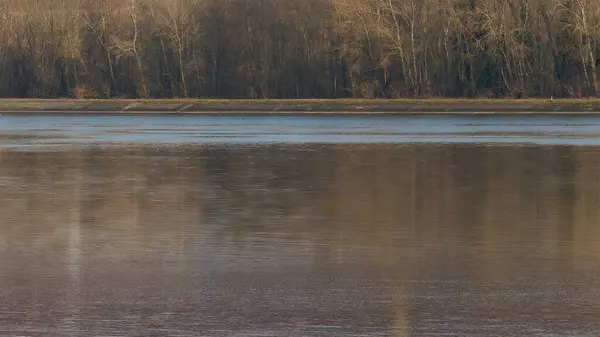 Huzurlu Riverbank Sahnesi Yansımalar ve Çıplak Ağaçlarla 