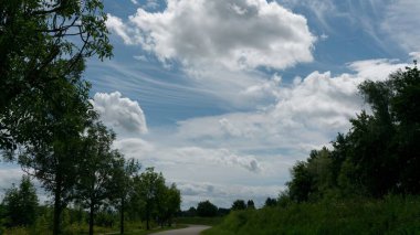Ağaçlar ve Gökyüzü Manzaralı Güzel Kırsal Yol