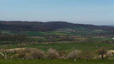 Çiçek açan ağaçlarla sakin bir kır manzarası manzarası