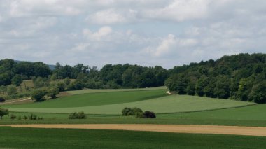 Bulutlu Gökyüzünün Altında Ormanlı Tepelerle Dolu Yeşil Tarlalar