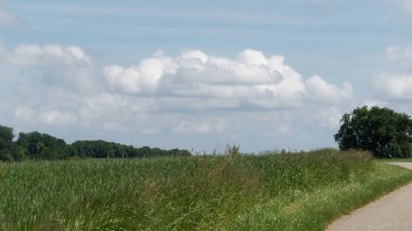 Gökyüzü Altında Kabarık Bulutlu Açık Alanlar içeren Manzara Kırsal Manzara
