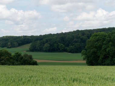 Kısmen Bulutlu Bir Gökyüzü Altında Yeşil Ağaçlı Resimli Yeşil Alan