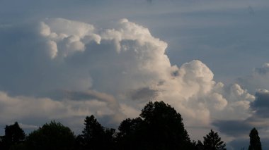 Huzurlu bir akşamda Bir Ormanın Üzerinde Görkemli Bulut Düzeni