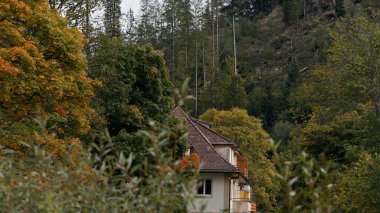 Bereketli Ormandaki Konforlu Ev Sonbahar Renkli Yeşilliklerle çevrili