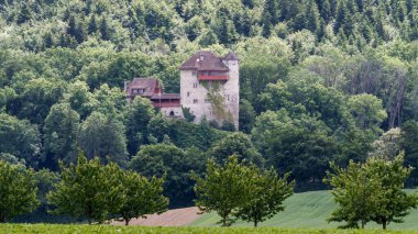 Ortaçağ Taş Şatosu Etrafı yemyeşil ormanlarla çevrili