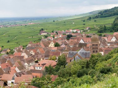 Çevrelenmiş Yeşil Üzüm bağları ve Manzaralı Kırsal Görüş