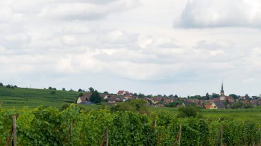 Lush Green Vineyards ile çevrili Büyüleyici köy Bulutlu bir Gökyüzü Altında