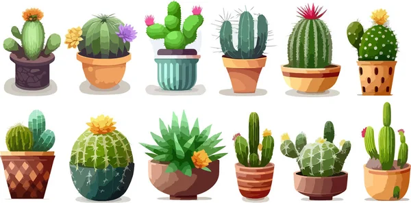 stock vector Set of different of colorful cactus in flower pots. Exotic and Tropical Plants - Cacti for design isolated on white background. Hand drawn cactus for design. Vector illustration