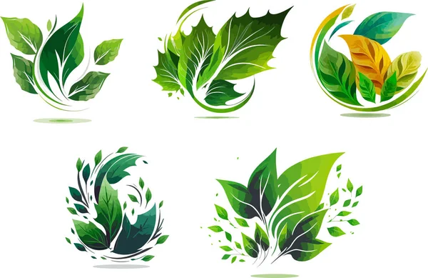 Groene Bladeren Pictogrammen Collectie Vector Geïsoleerde Decoratie Elementen Vectorillustratie — Stockvector