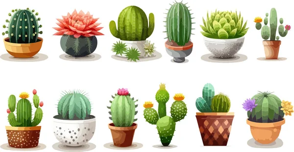 Conjunto Diferentes Cacto Colorido Vasos Flores Plantas Exóticas Tropicais Cacti — Vetor de Stock