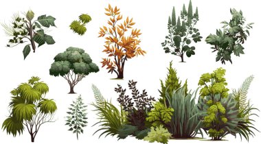 Park dekorasyonu, bahçe ya da yeşil çit için süs bitkisi çalılığı. Vektör illüstrasyonu