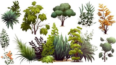 Park dekorasyonu, bahçe ya da yeşil çit için süs bitkisi çalılığı. Vektör illüstrasyonu