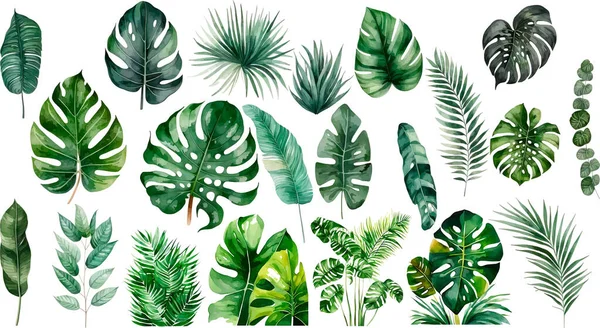 Palm Leaves Set Watercolor Botanical Painting Vector Illustration — Stock Vector