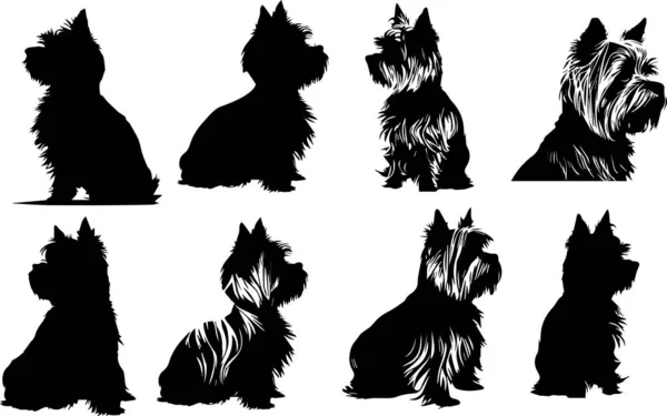 Силуэты Маленьких Собак Йоркширский Терьер Собачья Коллекция Векторная Иллюстрация — стоковый вектор