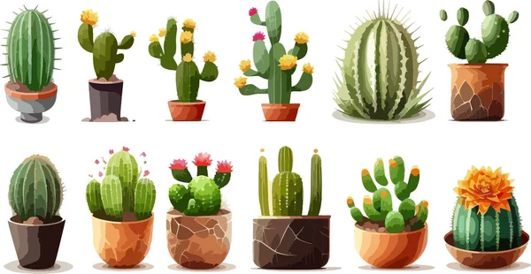 Set Van Verschillende Kleurrijke Cactus Bloempotten Exotische Tropische Planten Cactussen — Stockvector