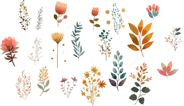 Collection Vectorielle Fleurs Sauvages Herbes Plantes Fleurs Herbacées Fleurs Fleurs — Image vectorielle