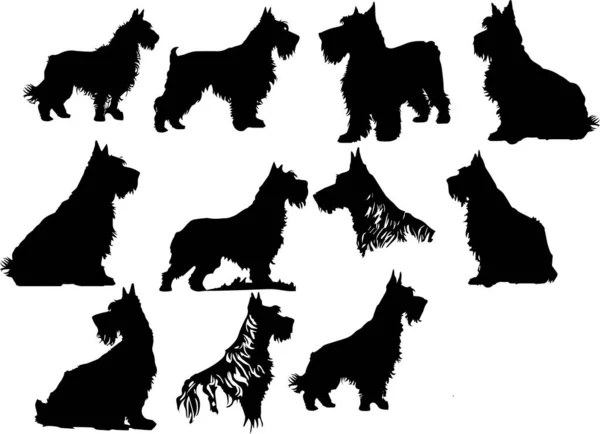 Airedale Terrier Chien Chiens Silhouette Chiot Illustration Vectorielle — Image vectorielle