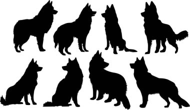 Alaska malamute siluet koleksiyonu - beyaza karşı siyah vektör köpek. Vektör illüstrasyonu