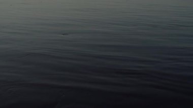 Dnipro nehrinden akşam şehrine panoramik video, Kyiv, Ukrayna