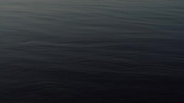  Kyiv, Ukrayna 'nın güzel akşam manzarası, nehir kıyısından panoramik video