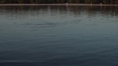 Dnipro nehrinin panoramik videosu, akşam günbatımı. Gerçek zamanlı UHD videosu