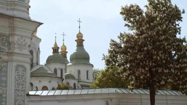 Picturesque View 11Th Century Church Capital Ukraine Saint Sophia Cathedral — Stock Video